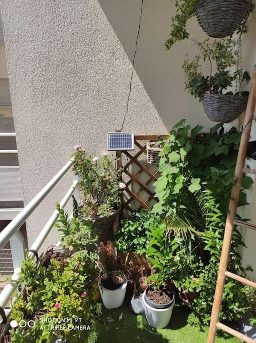 Appartement Cosy Et Calme Dugny エクステリア 写真